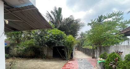 Jaffna Nest