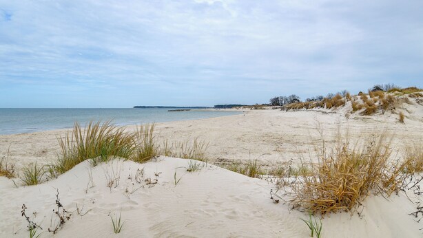 A beach with sand dunes and sparse vegetation. - Walk to Beach & Central Park: Home in Cape Charles (Cape Charles)