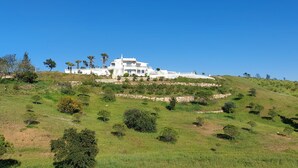 A white building with multiple levels, surrounded by a lush green landscape and palm trees. - Casa da Amizade - Tavira (Horta)