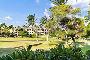 Property grounds - Vista Waikoloa G203: Luxury Condo in Waikoloa Resort: AC, Elevators, Views! (Waikoloa)