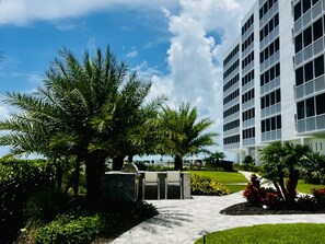 A modern building with a paved walkway, palm trees, and a well-maintained lawn.