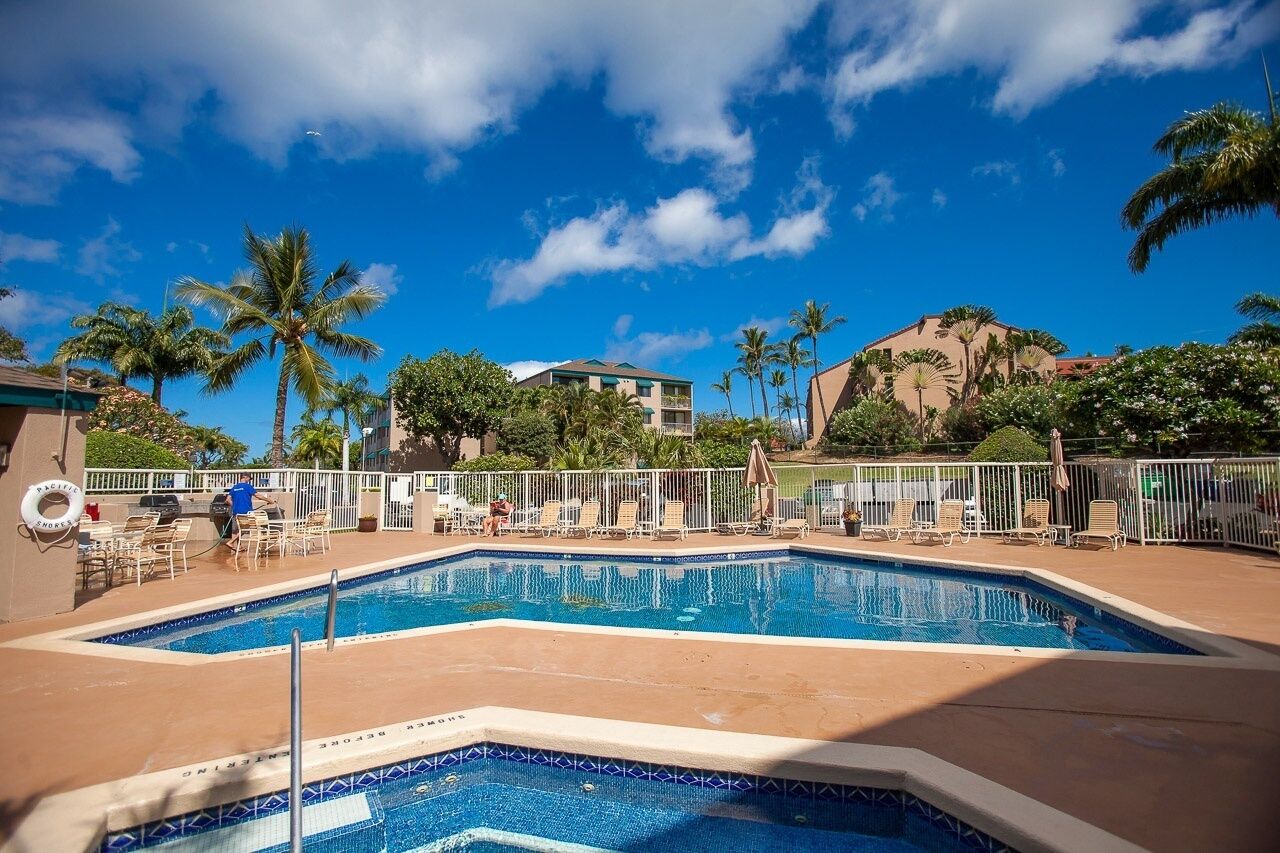 A swimming pool with lounge chairs and palm trees, surrounded by a fence.