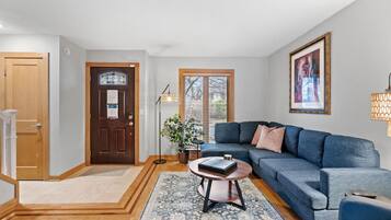 TV, fireplace, books