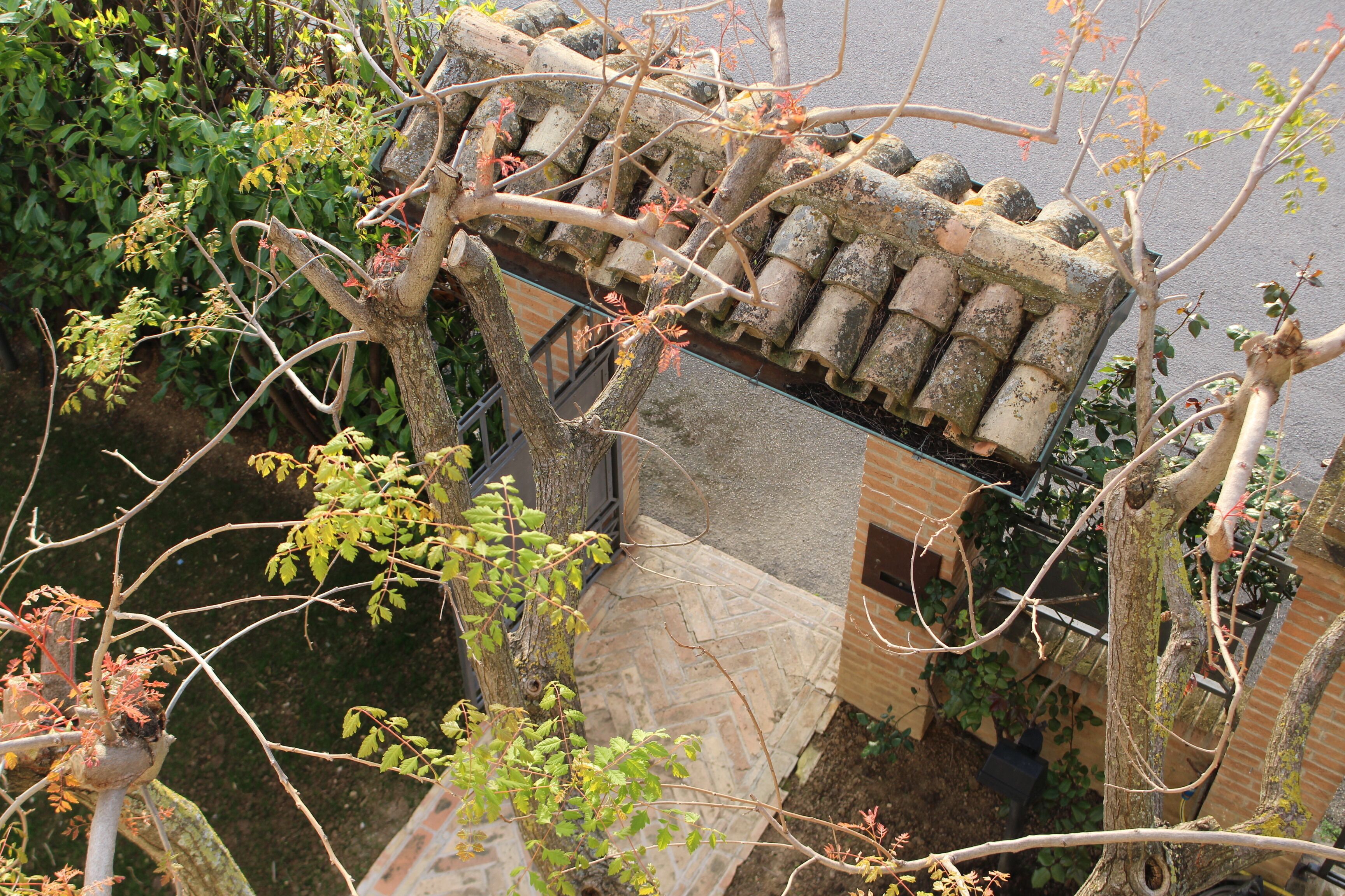 Parco della struttura