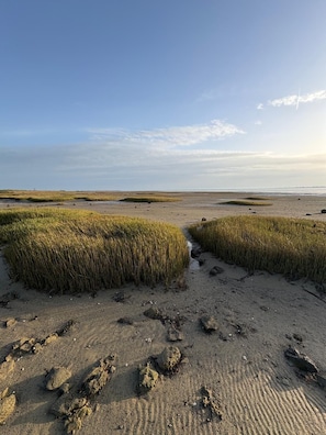 Ligstoelen aan het strand