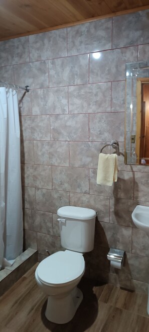Habitación, 1 cama de matrimonio | Baño | Ducha, cabezal de ducha tipo lluvia, secador de pelo y toallas