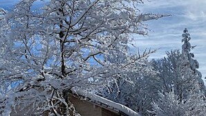 En snötäckt trästuga med en balkong, omgiven av träd.
