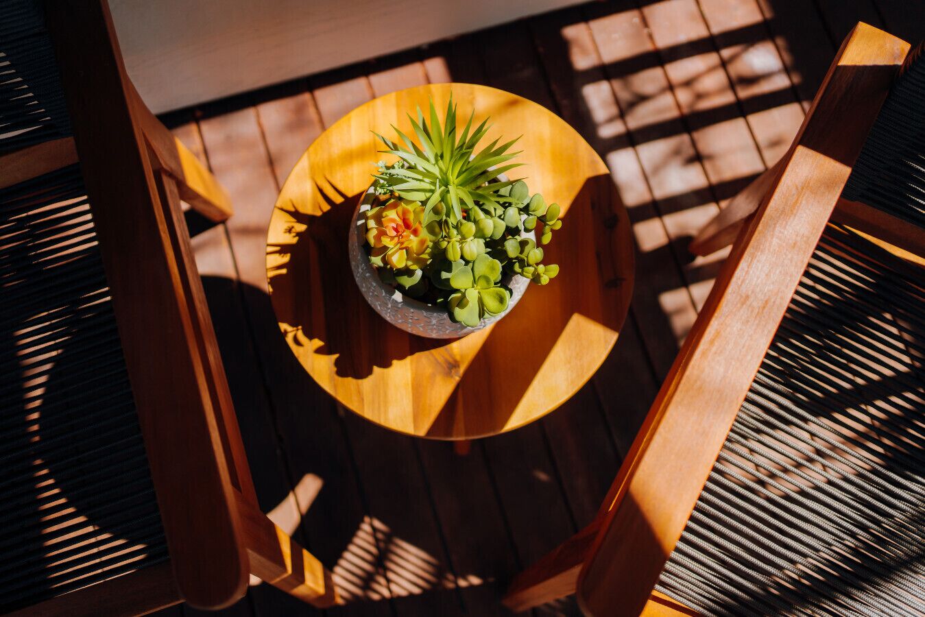 A top-down view of a wooden table with a potted plant.