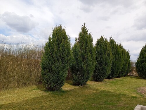 Large exclusive country house apartment with 2 bedrooms, private entrance and garage