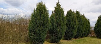 Large exclusive country house apartment with 2 bedrooms, private entrance and garage