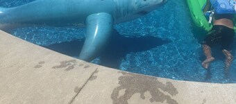 "Cozy house with pool and amenities.