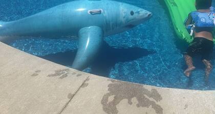 "Cozy house with pool and amenities.