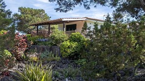 A house with a covered patio, surrounded by a variety of plants and trees.