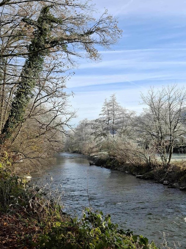 Une rivière qui traverse une zone boisée, avec des arbres de chaque côté.