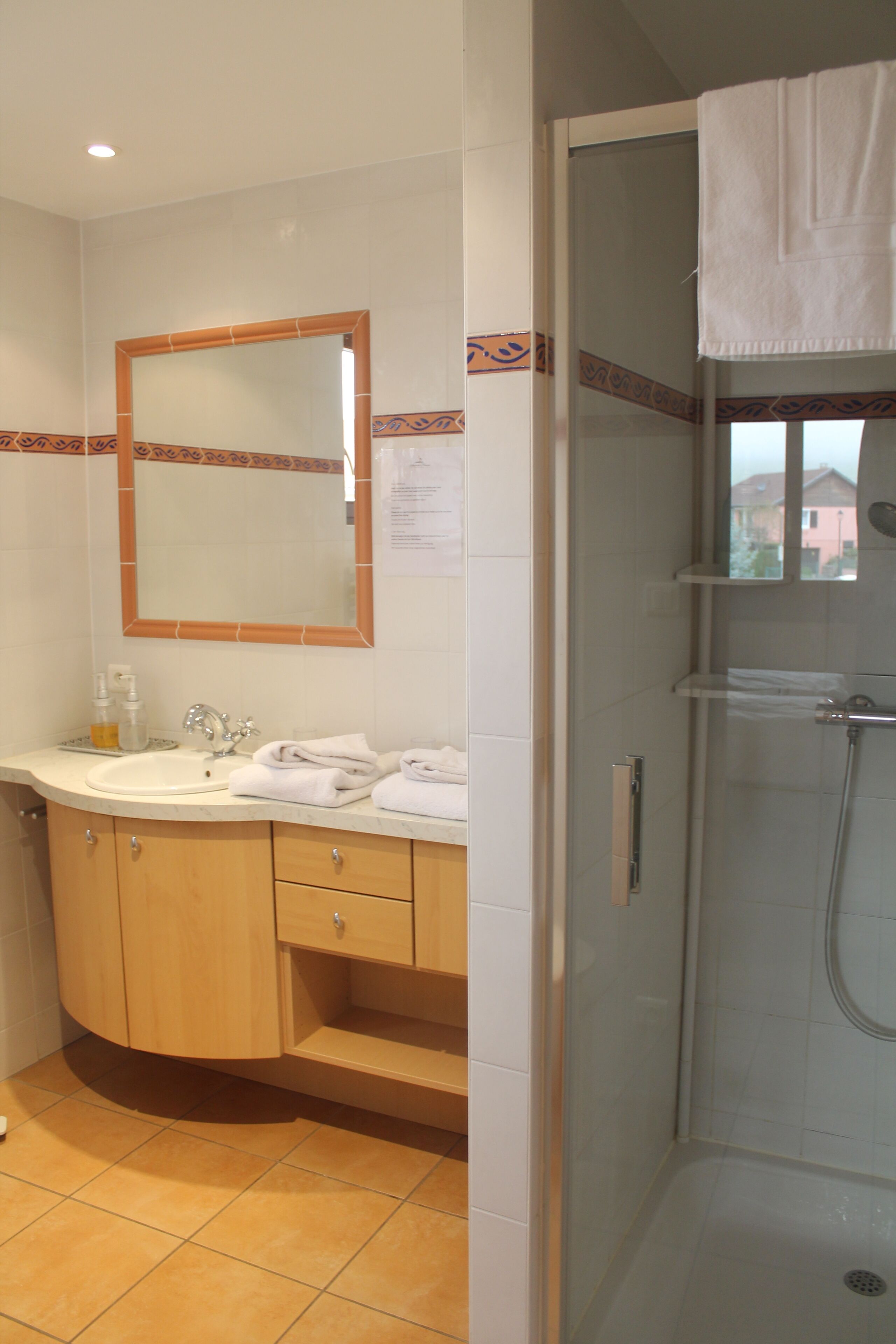 Une salle de bain avec un lavabo, un miroir et une douche.