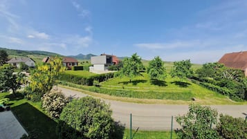 Habitación Confort, vista al viñedo | Vista a la montaña