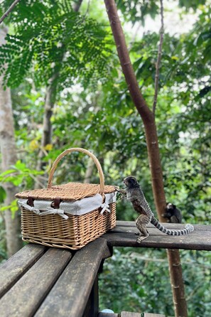 Daily to-go breakfast (BRL 50 per person)