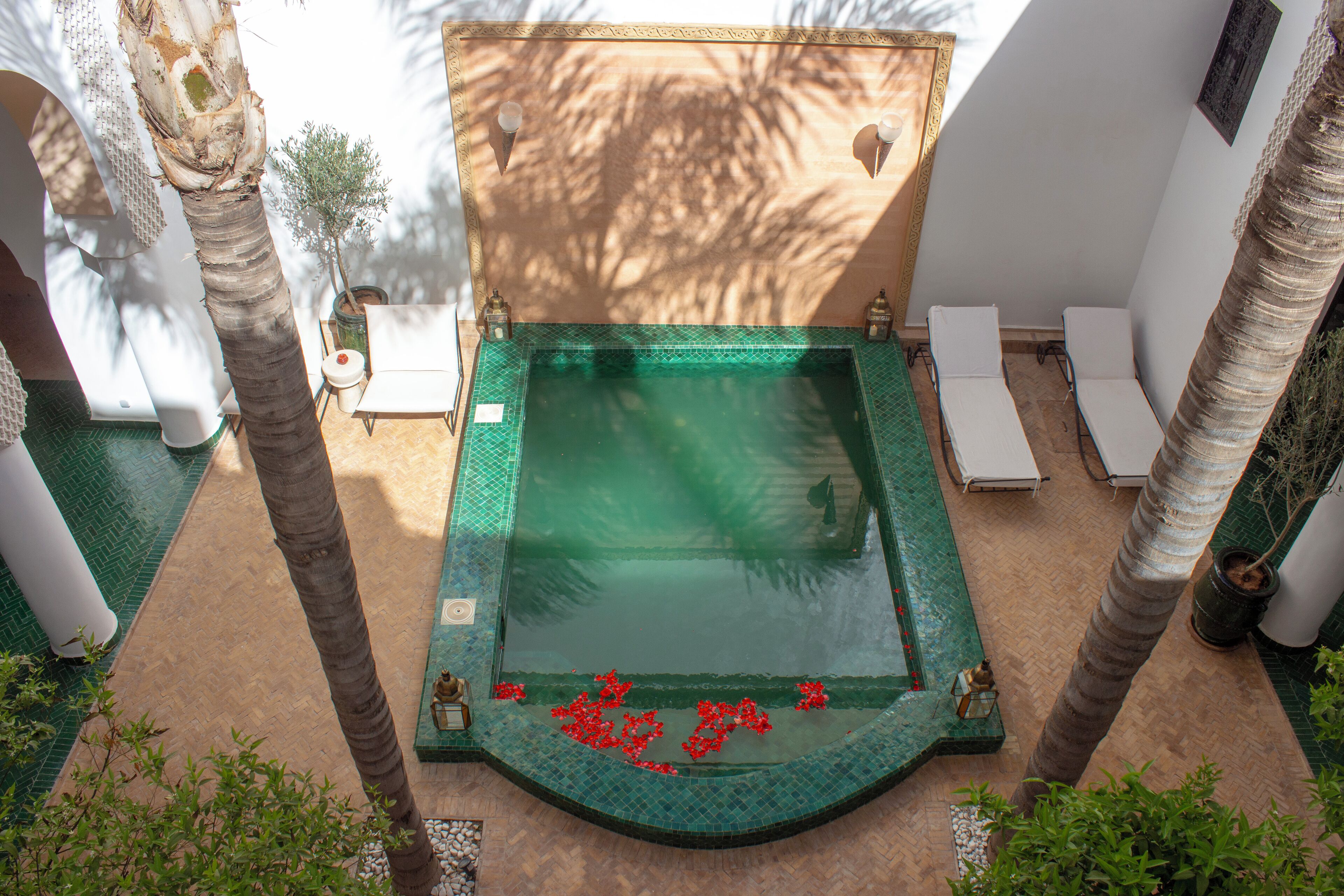 A rooftop pool with a green mosaic border, surrounded by palm trees and lounge chairs.