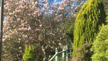 Apartamento | Jardines del alojamiento