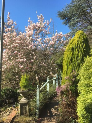 Apartment | Property grounds