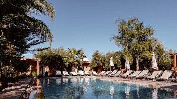 A swimming pool with lounge chairs and umbrellas, surrounded by palm trees and a clear sky. - Kasbah Lilas sleeps 46 (Douar Akkara)