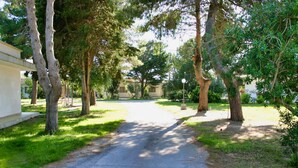 A paved driveway leading to a building with a white exterior, surrounded by trees and grass. - Hotel Villaggio Aurora (Manduria)