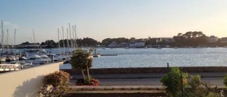Terras