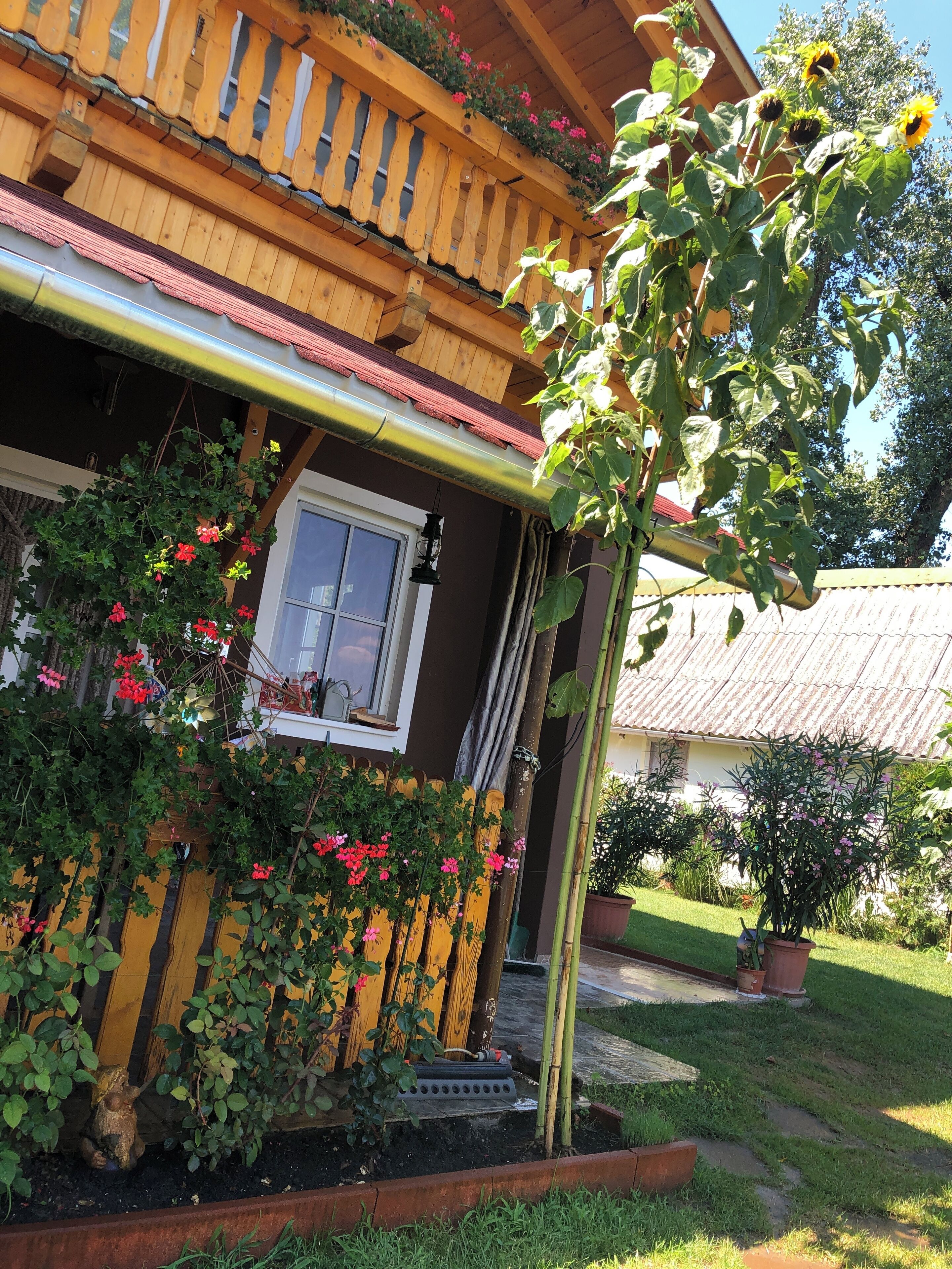 Detall de l'exterior