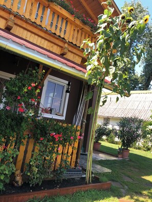 Détail de l’extérieur