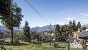A residential area with a fenced yard, palm trees, and a mountain backdrop.