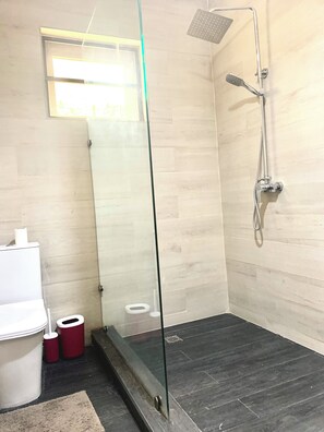 Bidet, towels, soap, toilet paper