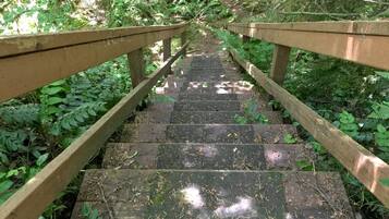 Cabin, 4 Bedrooms, Balcony, Mountain View | Garden