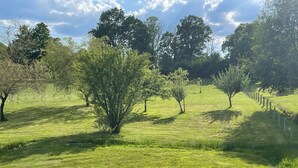 A grassy field with trees and a fence. - Les étoiles du Périgord vert (Gîte ALTAÏR) (Mialet)