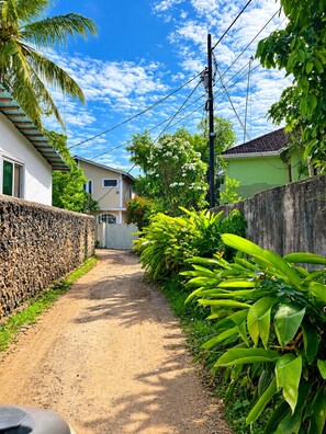 A narrow dirt path flanked by lush greenery and residential buildings.
