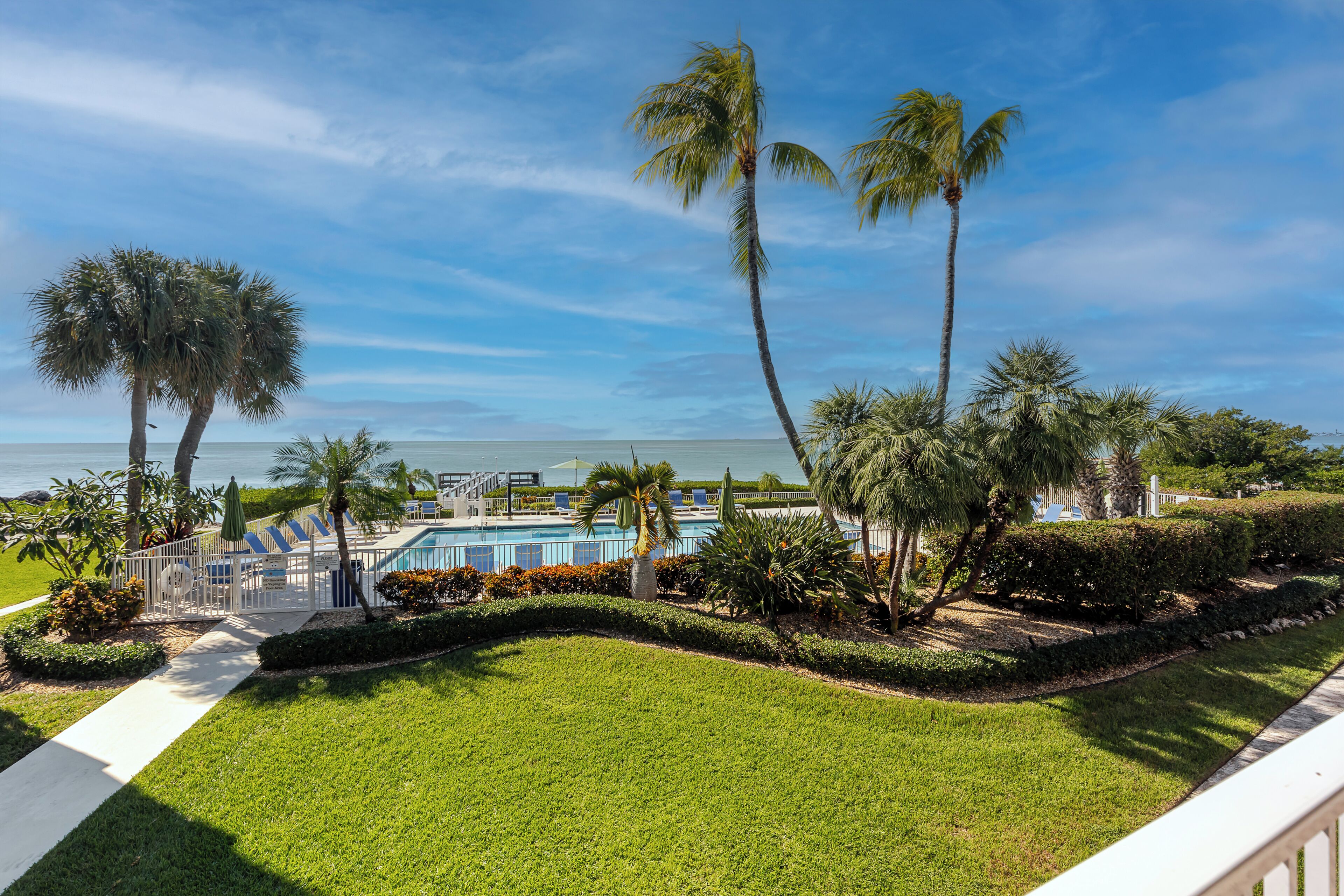 A pool area with palm trees, a clear sky, and a view of the ocean.