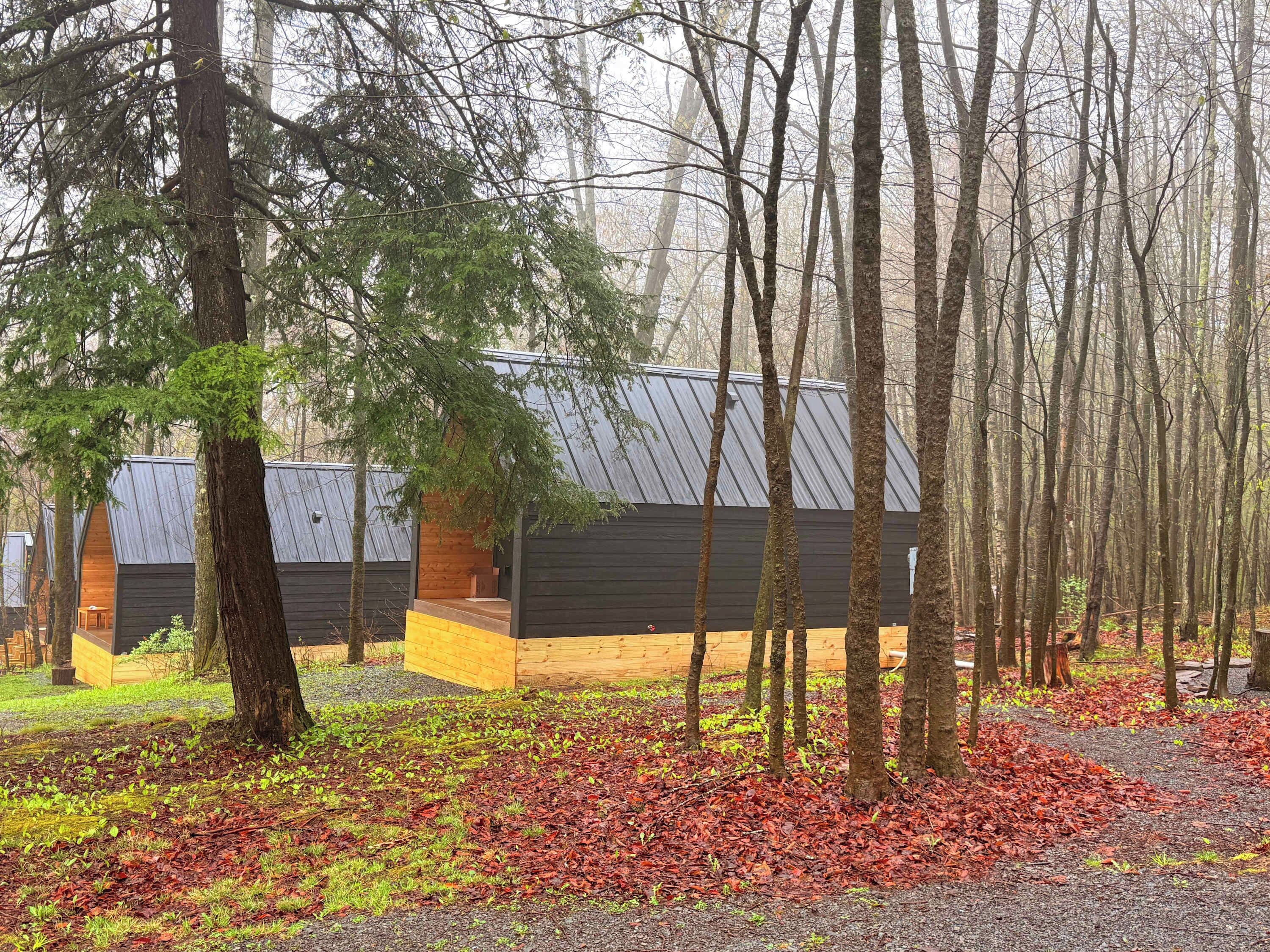 A cabin with a sloped roof, surrounded by tall trees and a forest floor covered with fallen leaves.