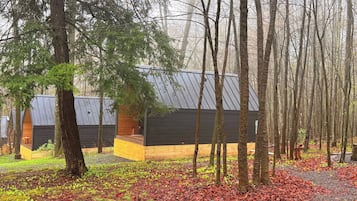 A cabin with a sloped roof, surrounded by tall trees and a forest floor covered with fallen leaves.