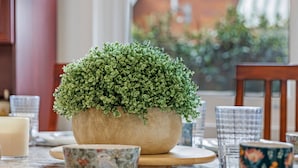 A dining table with a potted plant, floral plates, and clear glassware. - Kozyguru | Rockdale | Spacious 2 Bedrooms House (Rockdale)