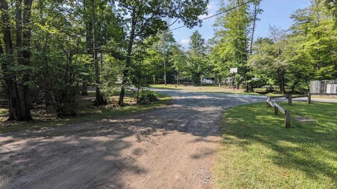 A dirt road leading to a campground with trees and a clear sky.