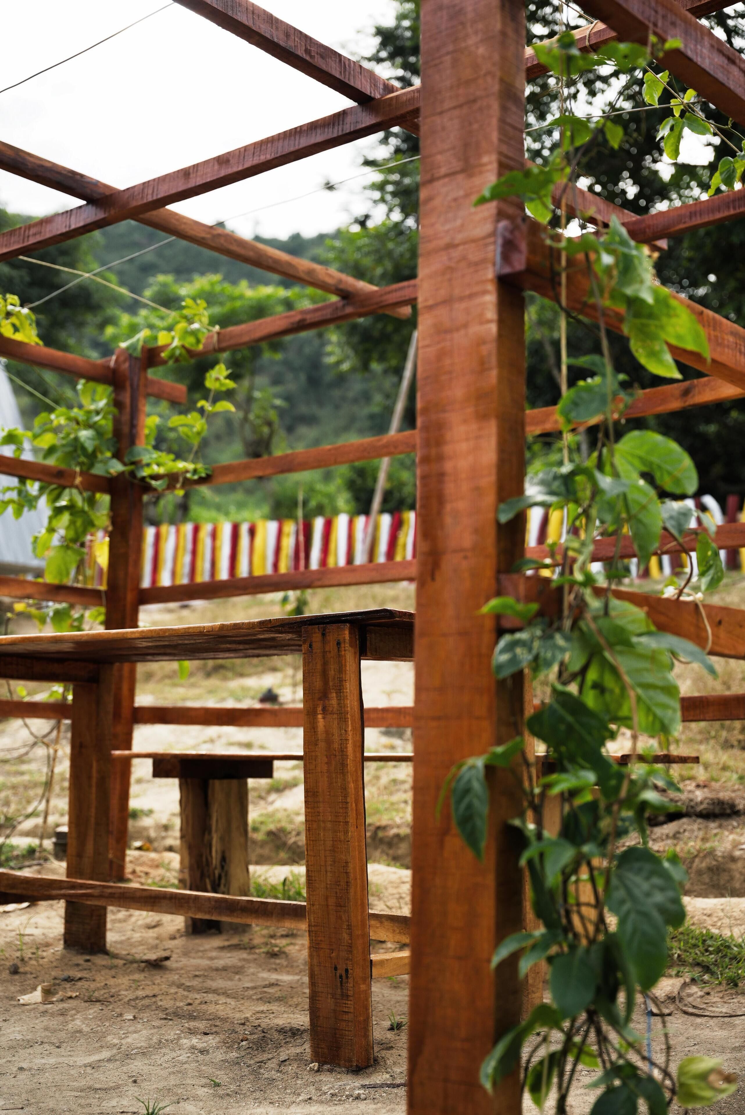 Terrein van de accommodatie