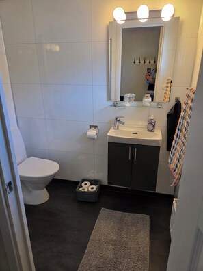 Secadora de cabello, toallas, jabón, papel de baño 