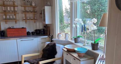 Great cabin - right by the sea in a scenic area.