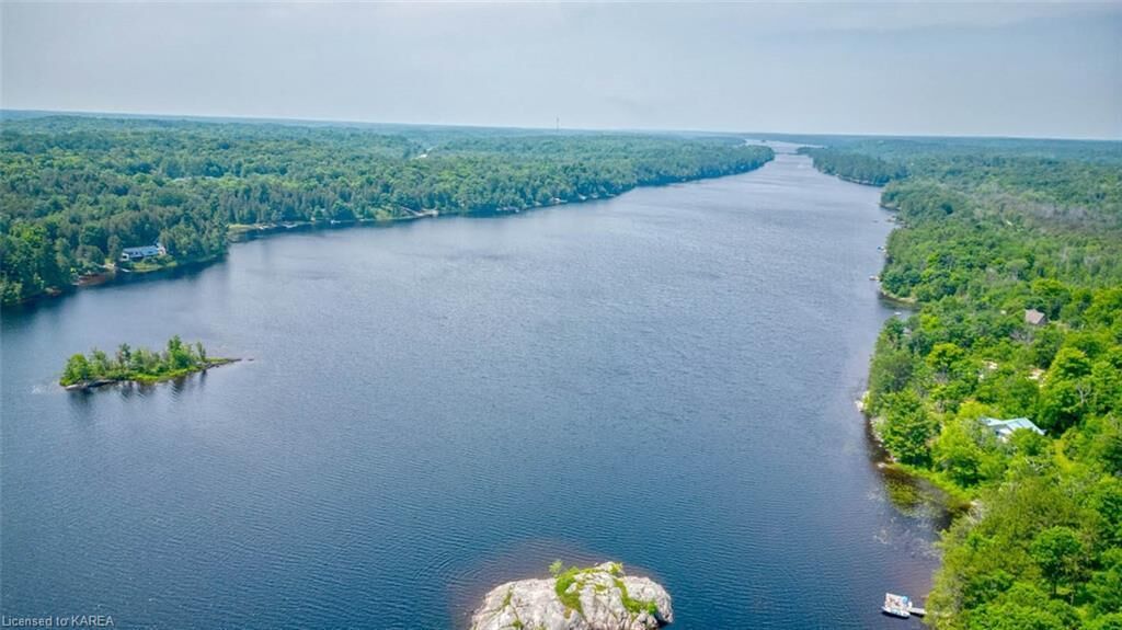 Uma grande extensão de água com uma pequena ilha ao centro, cercada por floresta densa.