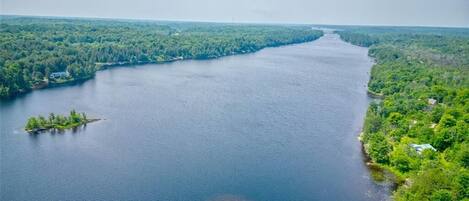 Uma grande extensão de água com uma pequena ilha ao centro, cercada por floresta densa.
