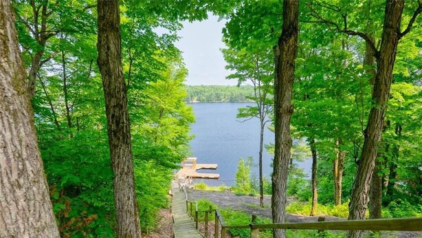 Un escalier en bois menant à une jetée au bord d’un lac, lui-même entouré d’arbres.