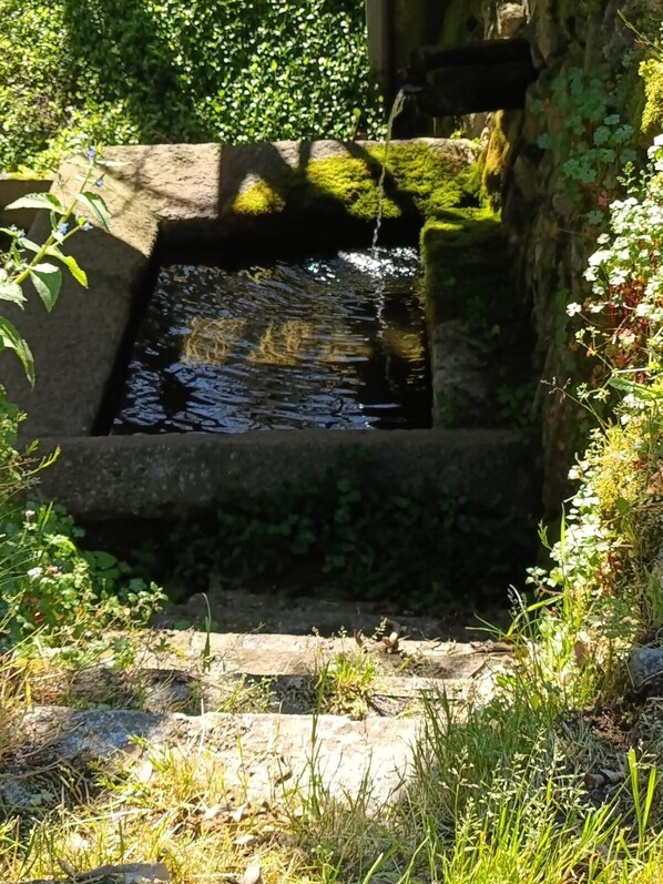 Property grounds - A Casiña de Morgan. O Mar de Ribeiro (Castrelo de Miño)