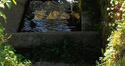 A Casiña de Morgan. O Mar de Ribeiro