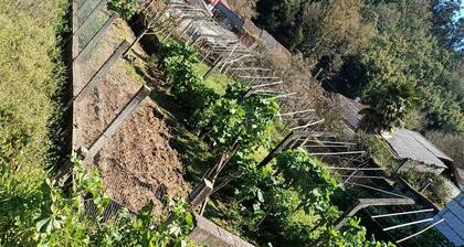 A Casiña de Morgan. O Mar de Ribeiro