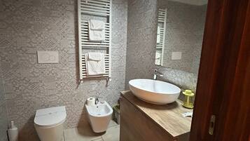 Shower, hair dryer, bidet, towels