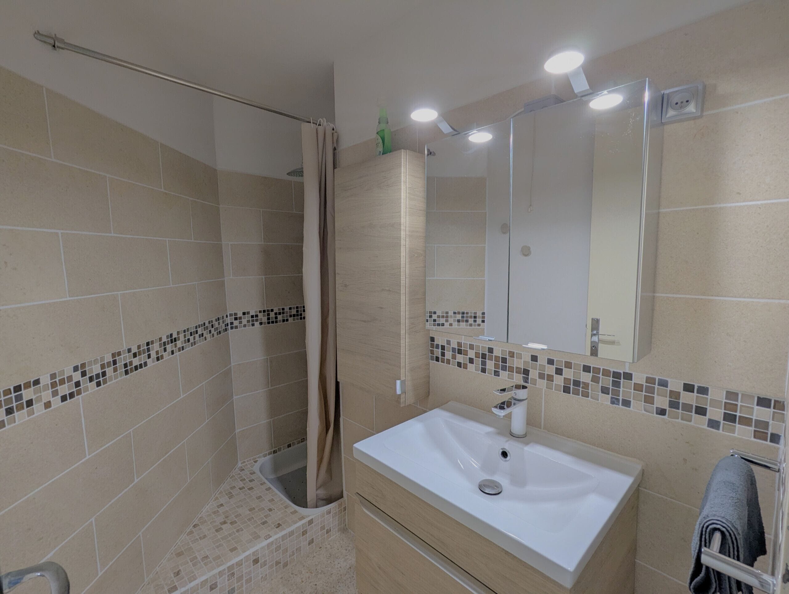 Dusche, Haartrockner, Toilettenpapier